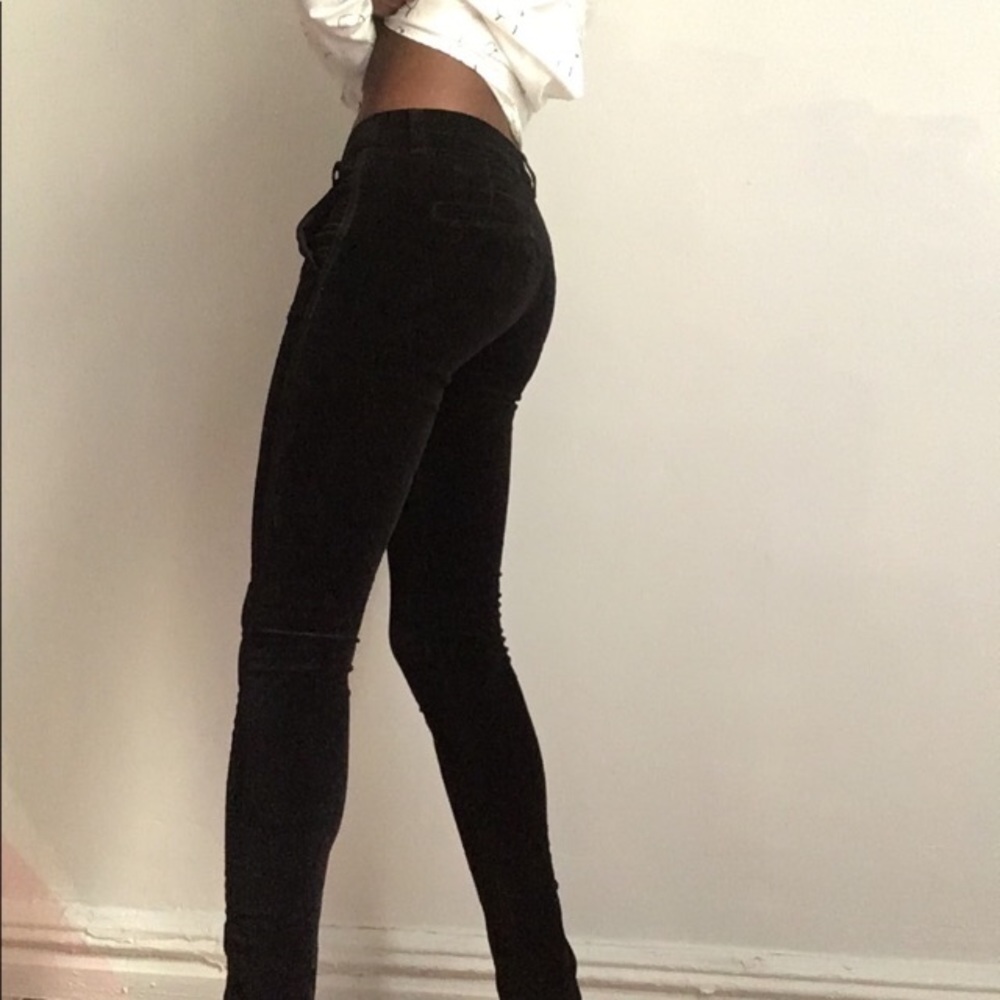 Pant